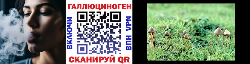 Псилоцибиновые грибы Psilocybe  Катав-Ивановск 